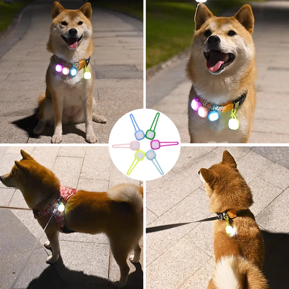 Dog Pet Pendant Night Light Waterproof Led Safety Pet Collar Pendants Lighted Puppy Flashing for Outdoor Hiking Training Walking