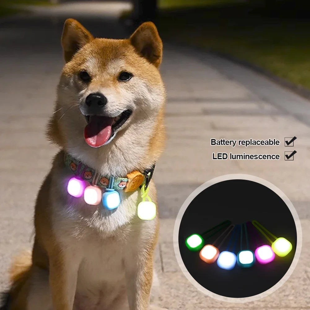 Dog Pet Pendant Night Light Waterproof Led Safety Pet Collar Pendants Lighted Puppy Flashing for Outdoor Hiking Training Walking